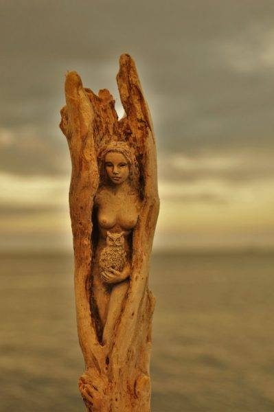 14642526_279158685816514_3334057197362633327_n