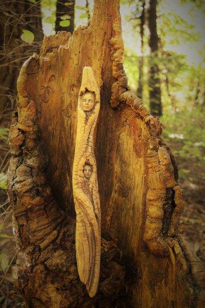 14657532_279158769149839_2145620557733855406_n