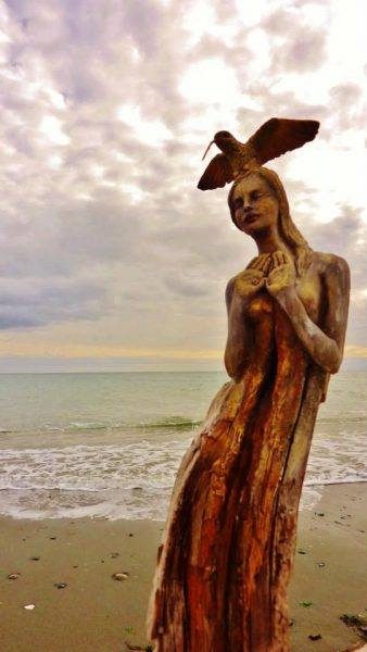 14695456_279158605816522_7229595054762783899_n