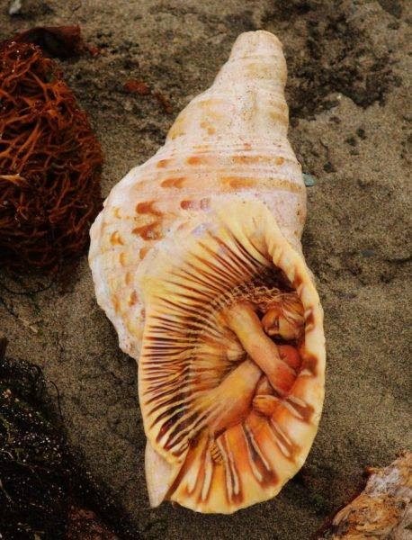 14705650_279158889149827_6412027905833082976_n