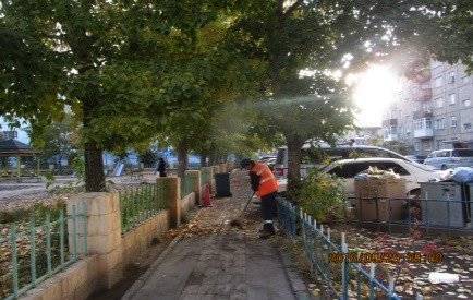 14797534_1101834373270086_797155607_n