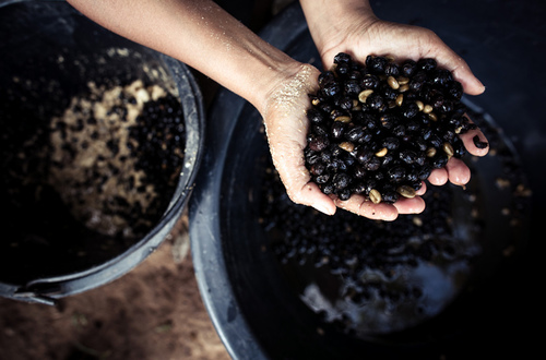 1g3v7d6bnknea5g2duco2p0jst_b