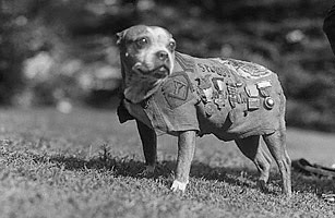 1i3tvqfvdh6ud5f1c0b6b5l69e_b