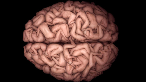 35kfg7jrtu4p80nc8o75jkei7c_b