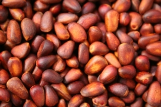 500303510606201408051606