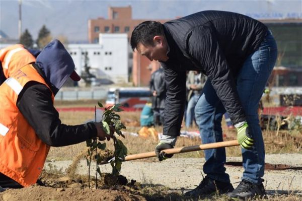 b90b3ac4439e121a272858c82e1f65ba