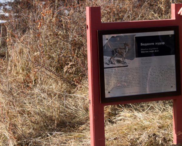 p1av3coiun16t0gsl11ju1ou6fua9