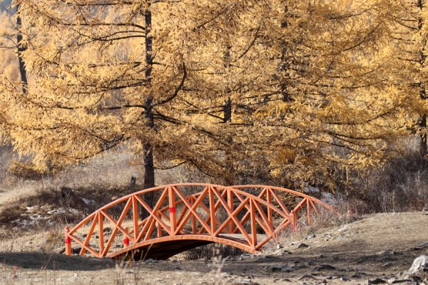 p1av3coiunpgb1h1lifb1oih1ds86