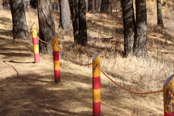 p1av3coiunrq43glfevpii1l7o3