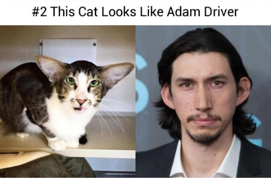 14054068_578434679021047_483138893687402209_n