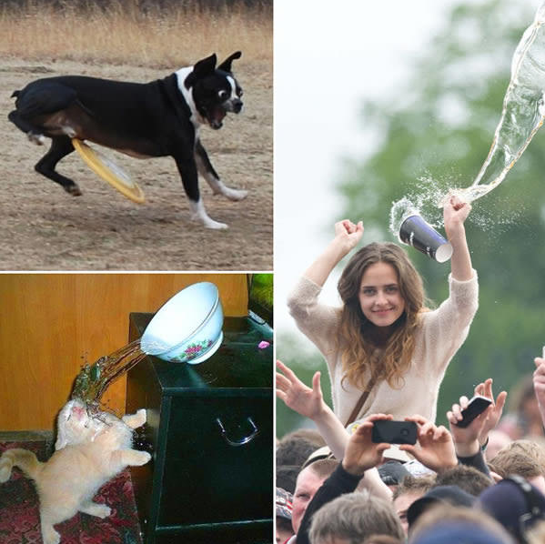 1478571687_14680721_1205665709476729_7451683735327534023_n