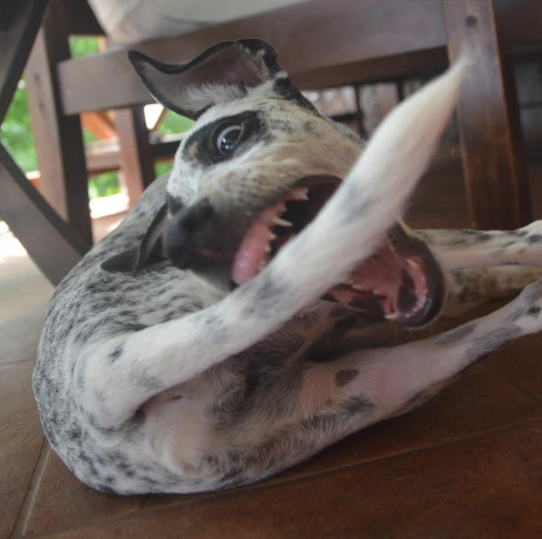 1478571703_14732136_1205665746143392_1092672923620480031_n