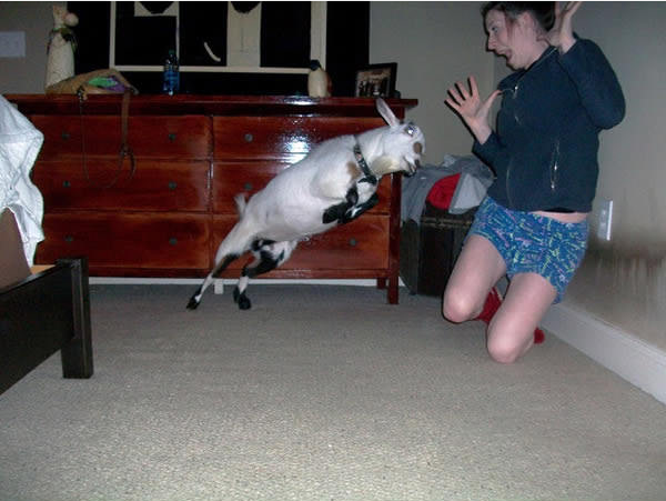 1478571757_14657451_1205665839476716_2246509159880845030_n