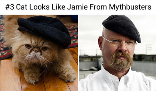 14993297_578434999021015_4829456913118200846_n