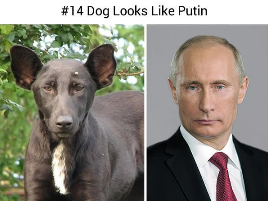 14993298_578434822354366_9009019160532667170_n