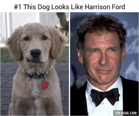 14993333_578434709021044_3110087850920766670_n