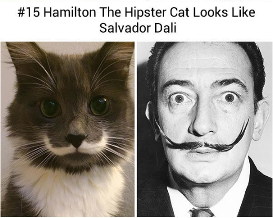 15027841_578434829021032_2773824496332534564_n