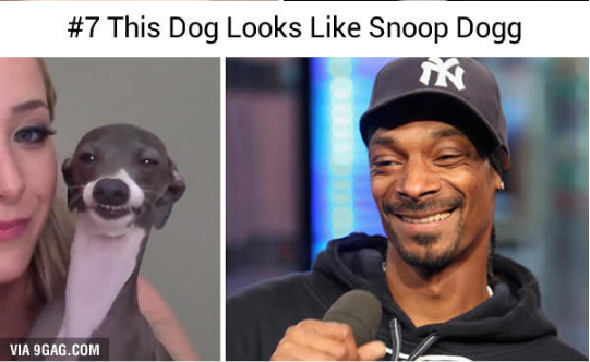 15036343_578434875687694_5165151473908397457_n