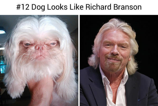 15036637_578434795687702_3643359107092654247_n