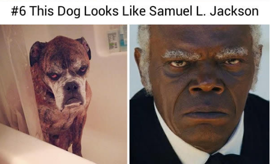 15056310_578434942354354_8846301455335938127_n