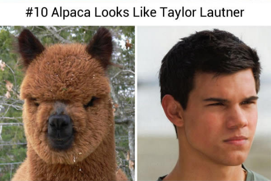 15078718_578434925687689_6988902088240015253_n