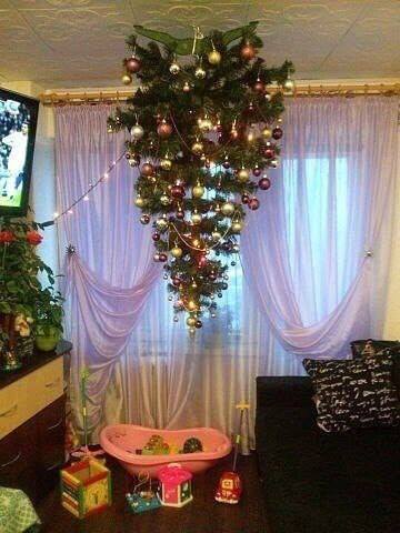 15094249_1286103784744943_7452626289076361059_n