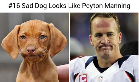 15094263_578434895687692_4781985582931296713_n