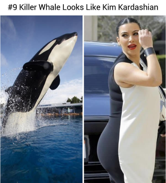 15094848_578434639021051_9002688180369020002_n