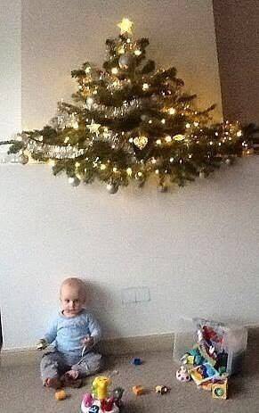 15095017_1286103978078257_5429732778910614942_n