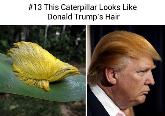 15107449_578434815687700_697339098331438187_n