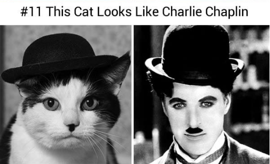 15134820_578434729021042_5890888673659808704_n