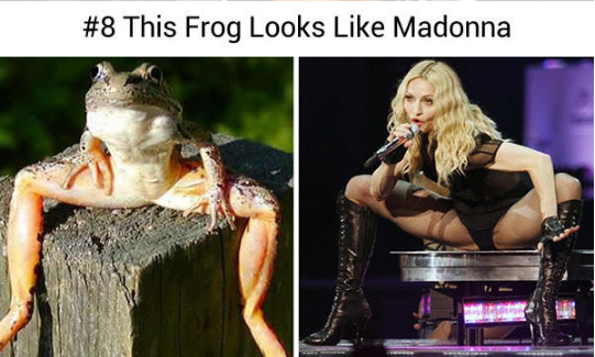 15135754_578434859021029_1389824233978063207_n