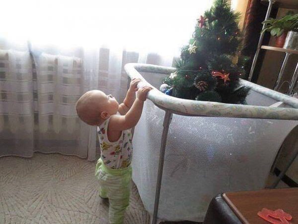 15181135_1286103821411606_8916777855971910973_n