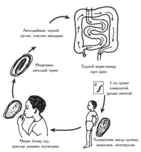 15239254_1122865484417724_544101287_n-2-278x300