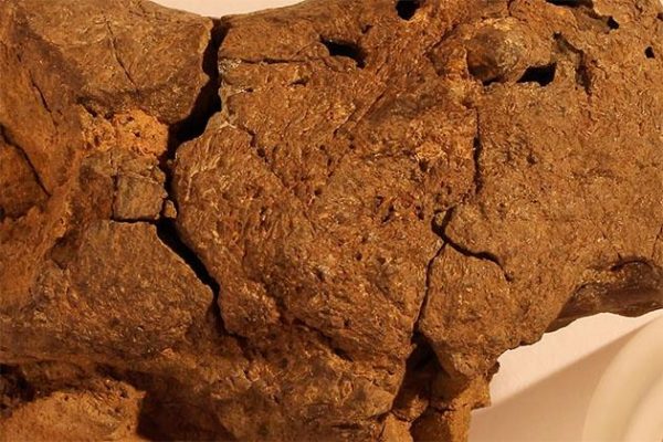 46d6f50107c76a82great