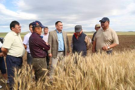 528ccc4cf1e8ad42c79ef50911dc3f9b