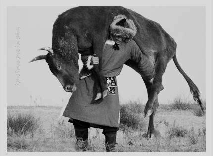 6g5kuu4fcvedhdn80p359hkq6h