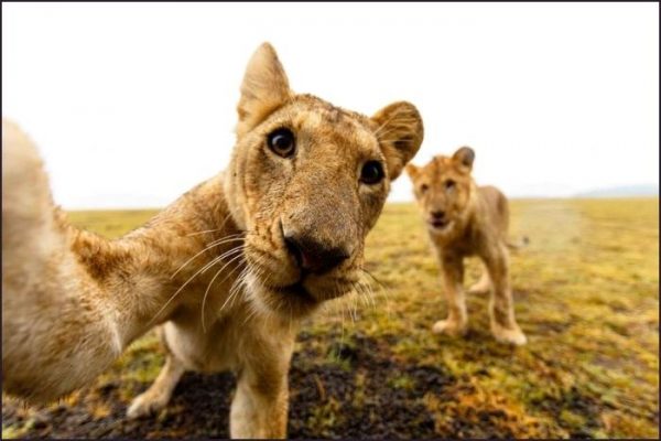 \"85c5f5111f5bdbca1f5ebaffd3caff26\"