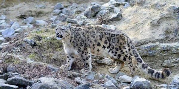 94fc746cadcc0dfeda75a5751ad360cdoriginal