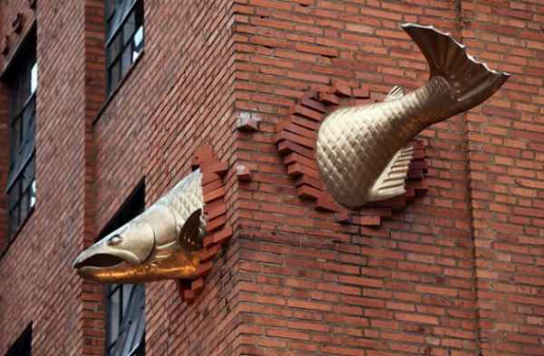 untitled-%d3%a9%d3%a9