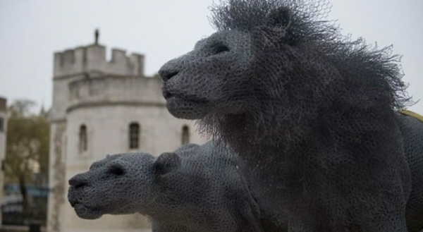 untitled-%d3%a9%d3%a9