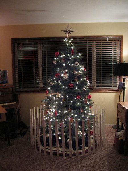 fa6cc5d1cf78a9c0239b2b961167e3b6