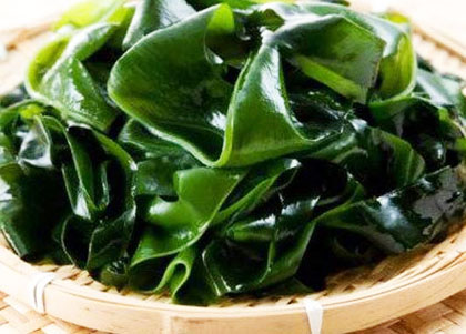 morskaia-kapusta-polza-i-vred