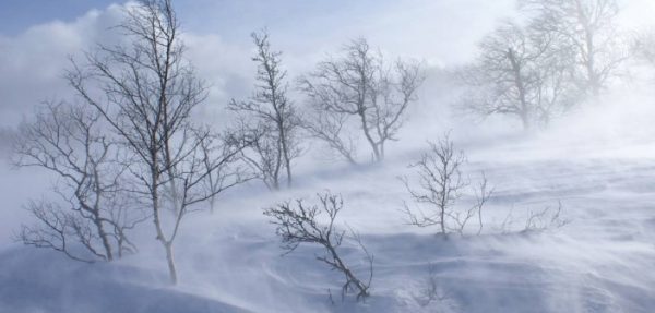 width2x_5zslcwq6wvg2yyp-702x336