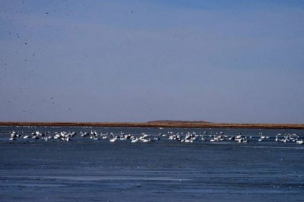 9100563ea53b31dc63fd88c68131ad92_large