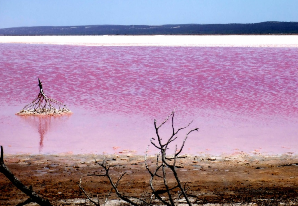 untitled%d0%b9%d0%b9