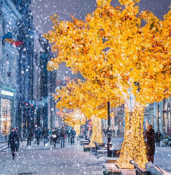 ФОТО: Москва хотын ӨВЛИЙН ӨНГӨ