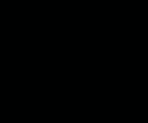 B3-330x300px
